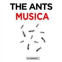 THE ANTS