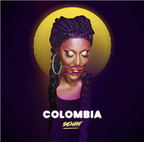 SENHIT - Colombia
