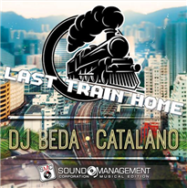 DJ BEDA - Last Train Home