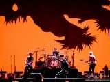 50 anni di U2 in 15 canzoni (quasi) dimenticate