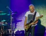 Sting non è uno che accetta i fallimenti