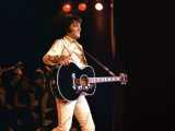 Elvis: i diritti musicali al centro di una battaglia contro l'AI