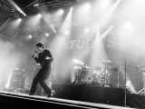 I Turnstile tornano in Italia a La Prima Estate, con Billy Idol