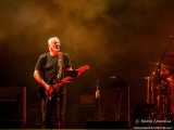 David Gilmour ha un problema con dei pipistrelli
