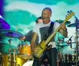 Sting: "Sono fortunato a lavorare con le mani ogni giorno"