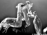 I migliori cinquanta album nu-metal di tutti i tempi
