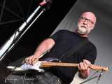 Sugar, reunion per la storica band alt-rock di Bob Mould
