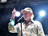 I Beach Boys cancellano l'ennesimo concerto