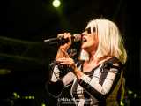 Debbie Harry: "Mi sono schiantata contro un muro"