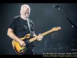 David Gilmour tra il pubblico ai concerti di Steven Wilson
